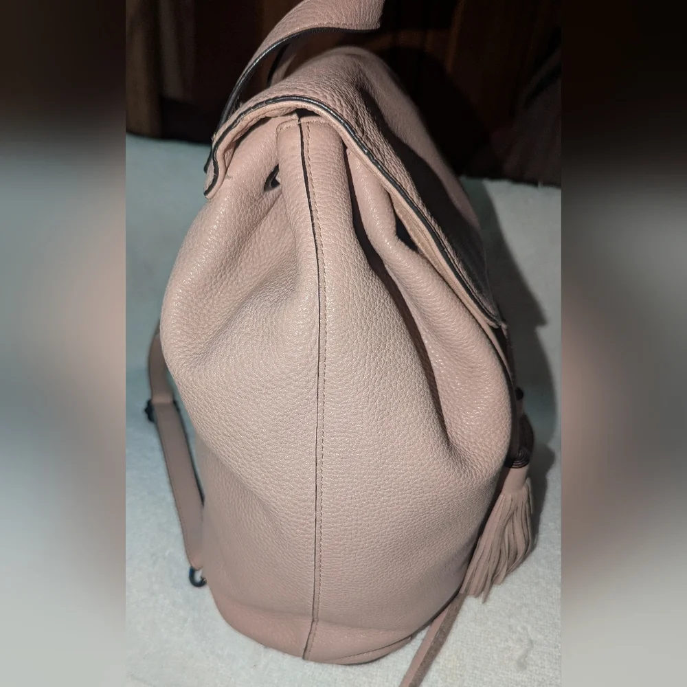 Rebecca Minkoff chic blush